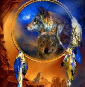 Meet your Posher, Lorrie